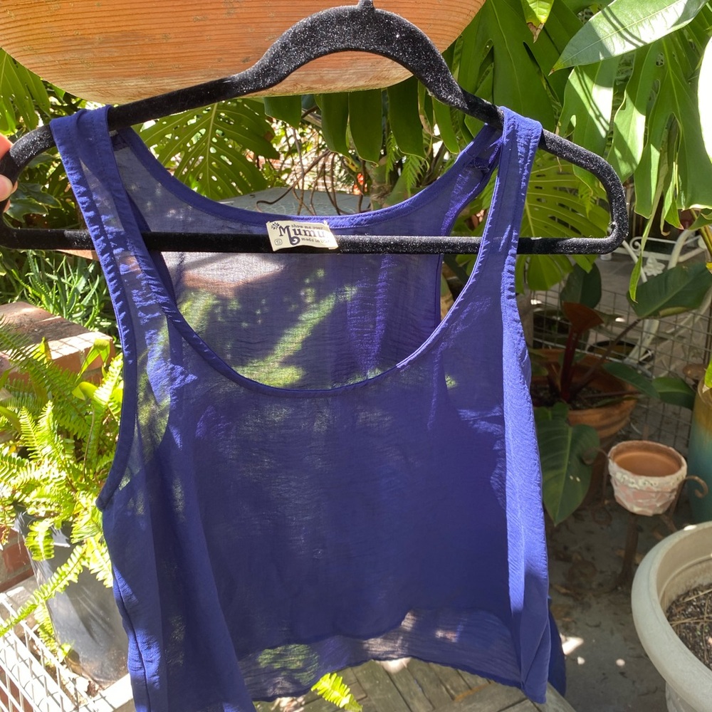 Show me you MuMu sheer blue top
